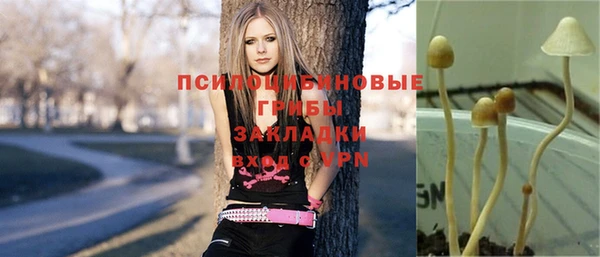 дживик Балахна