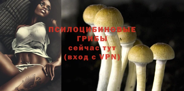 дживик Артём