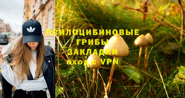 дживик Балахна