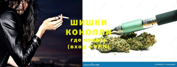 дживик Балахна