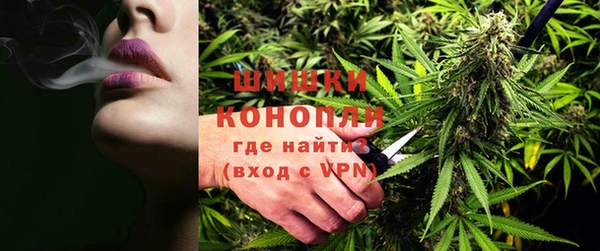 дживик Балахна