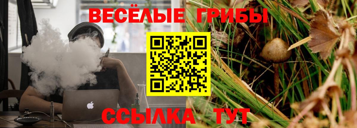 Псилоцибиновые грибы прущие грибы  Галлюциногенные грибы Psilocybine cubensis  Вход с VPN  Благодарный 