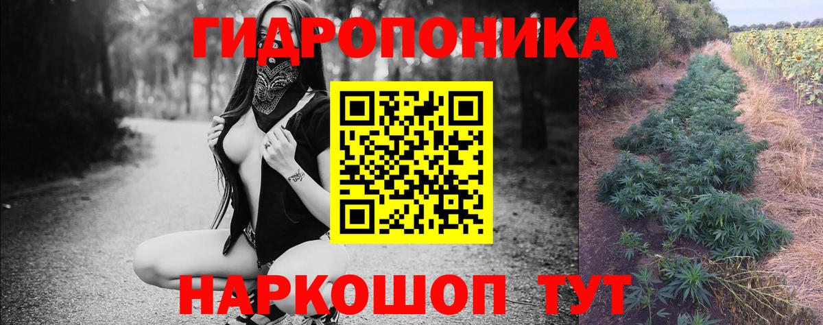 Конопля ГИДРОПОН  Вход с VPN  Благодарный  Конопля тримм  Шишки марихуана планчик 